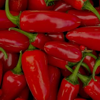 Chili-Extrakt