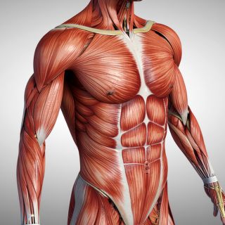 Schnelle und gezielte Linderung